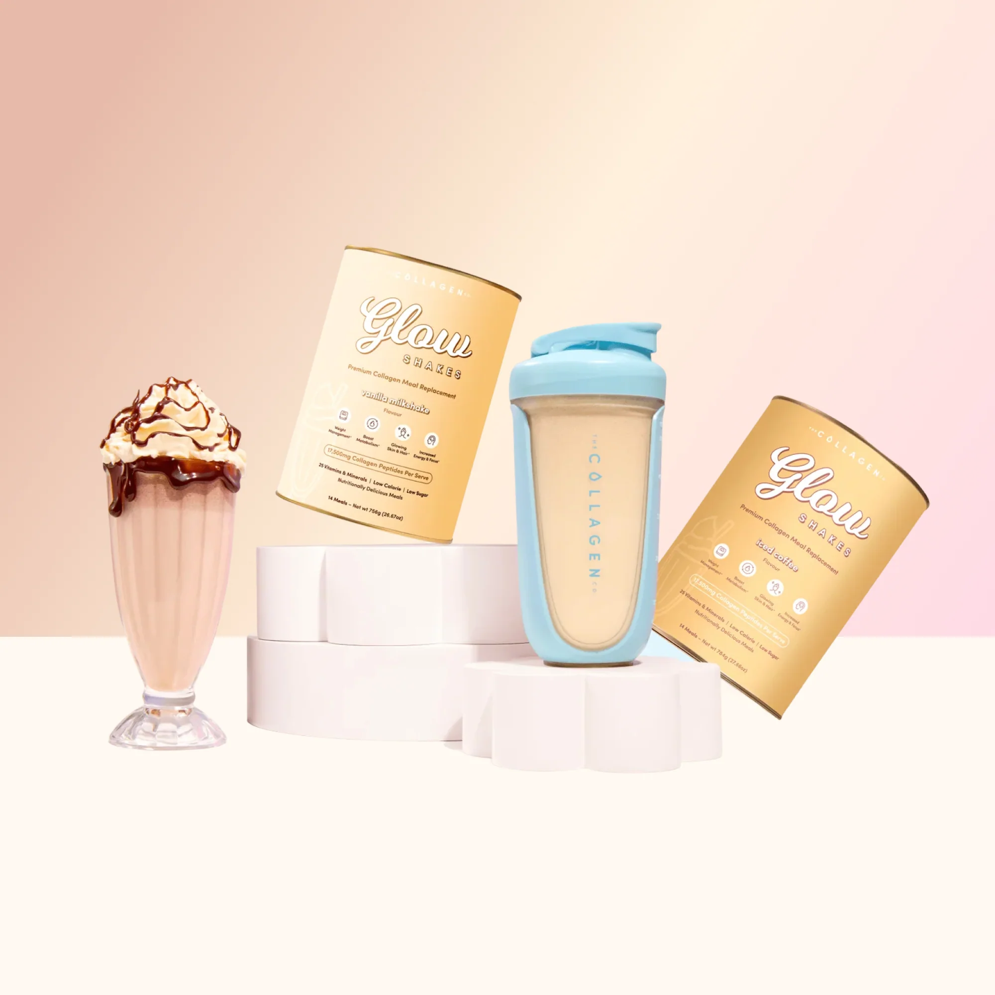 1 Shake A Day Plan